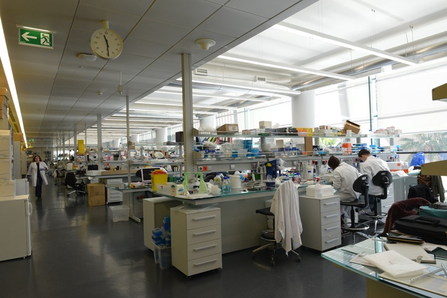Champalimaud Research, Laboratório de Investigação, “Open Lab”