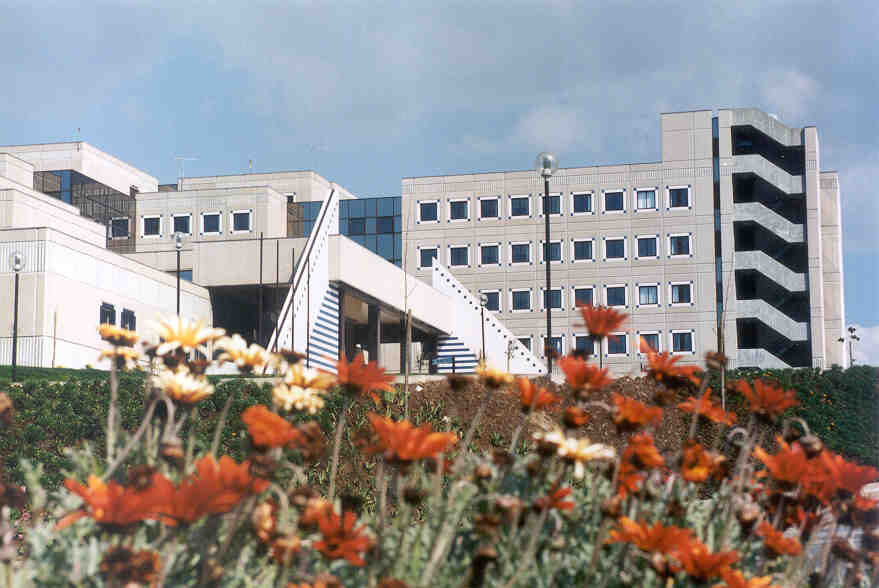 Hospital